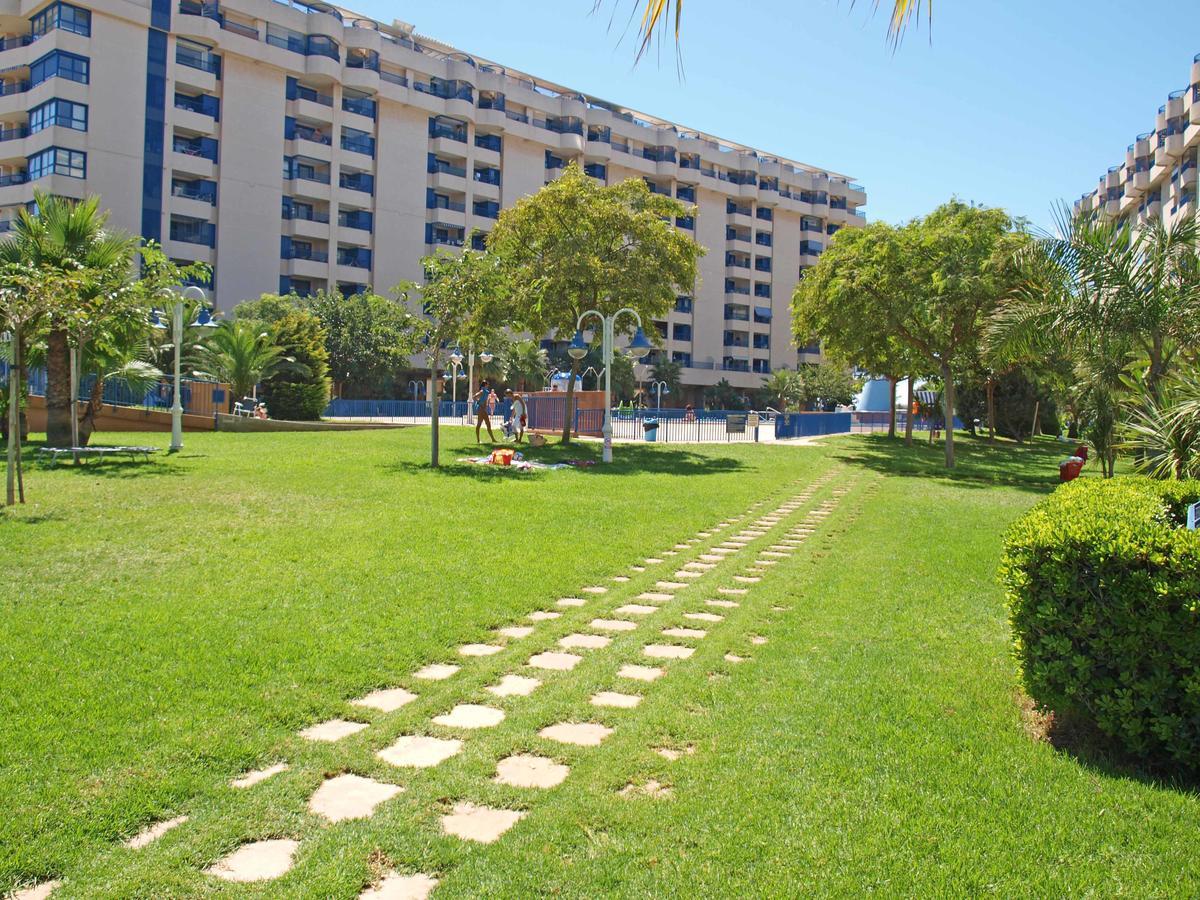 Apartup Patacona Orchard Views Valencia Eksteriør billede